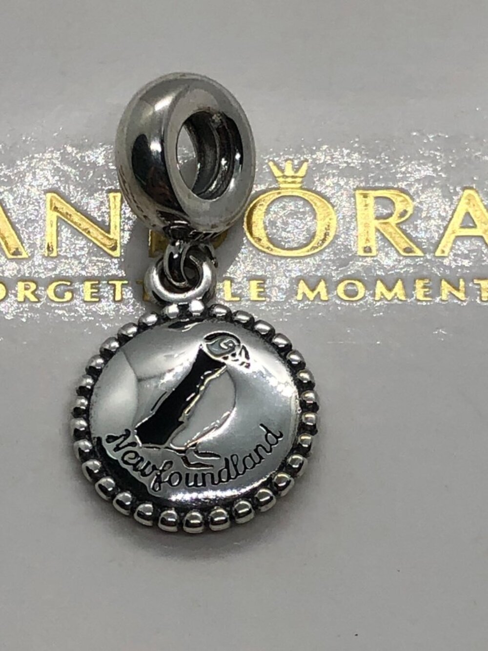 ✨🔥Pandora Newfoundland Puffin Charm souvenir Jewellery Gifts Sterling Silver